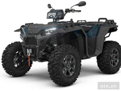 INTL SPORTSMAN 1000 55