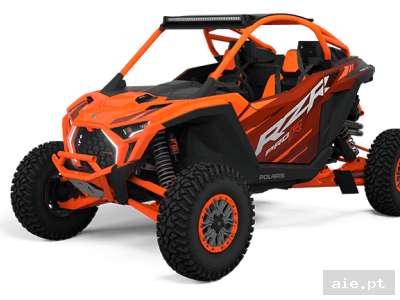 RZR PRO R PRO ARMOR LE ULTIMATE (R01)