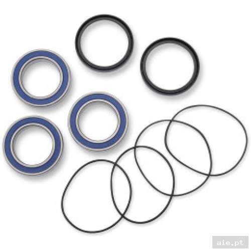 Part Number : 02150114 KIT ROLAMENTOS TRÁS TRX 450R - Acessórios