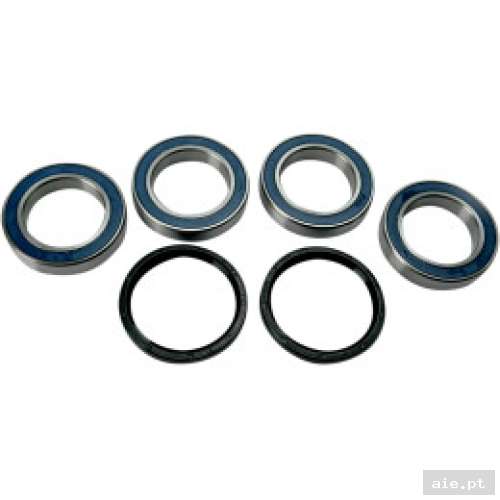 Part Number : 02150201 KIT ROLAMENTOS TRÁS LTR 450 - Acessórios