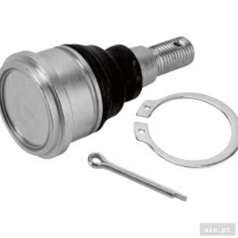 Part Number : 04300273 BALL-JOINT PRED 500 03/05