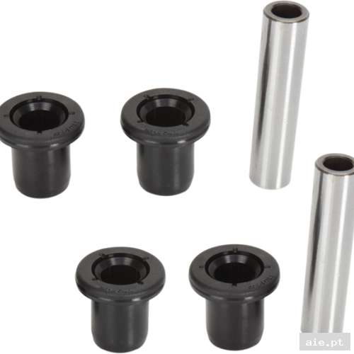 Part Number : 04300808 A-ARM BEARING SEAL KIT