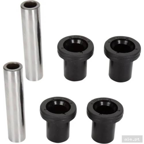 Part Number : 04300818 A-ARM BEARING SEAL KIT