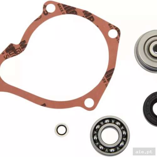 Part Number : 09344851 REPAIR KIT WATER PUMP POL - Acessórios