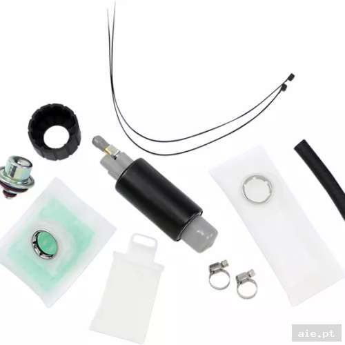 Part Number : 10090086 FUEL PUMP REBUILD KIT - Acessórios