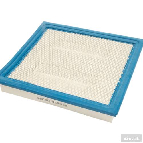 Part Number : 10114478 AIR FILTER POLARIS - Acessórios