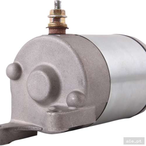 Part Number : 21100695 MOTOR DE ARRANQUE PREDATOR - Acessórios