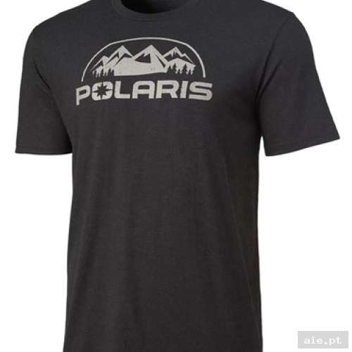 Part Number : 286157206 M CORE TEE BLK L  - PEÇA POLARIS